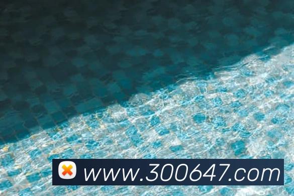 500彩票网官方服务体系